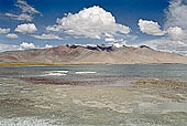 Ladakh - Tso-Kar, white salt deposits contrast with the blue of the lake waters. 